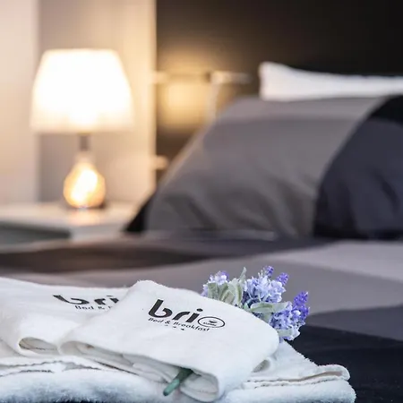 Brio Alojamento de Acomodação e Pequeno-almoço