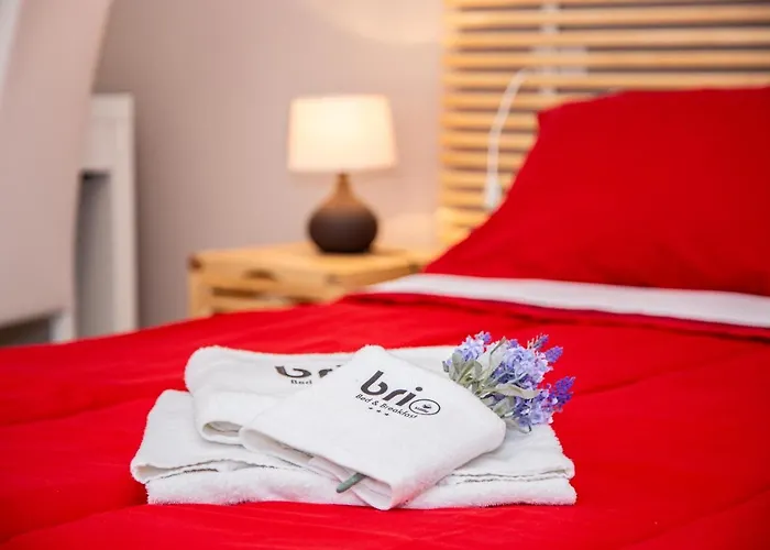 布里奥住宿加早餐旅馆 住宿加早餐酒店 4*