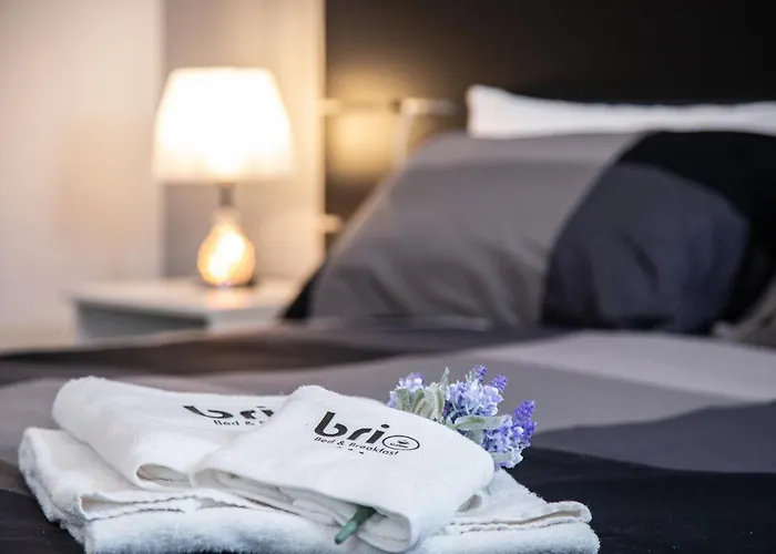 布里奥住宿加早餐旅馆 住宿加早餐酒店