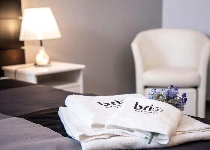 布里奥住宿加早餐旅馆 4*