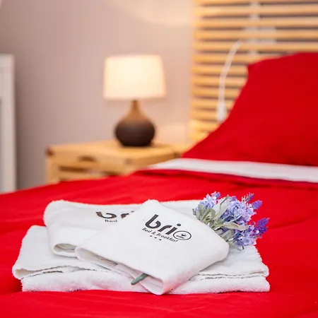 Couette-café Brio 4*